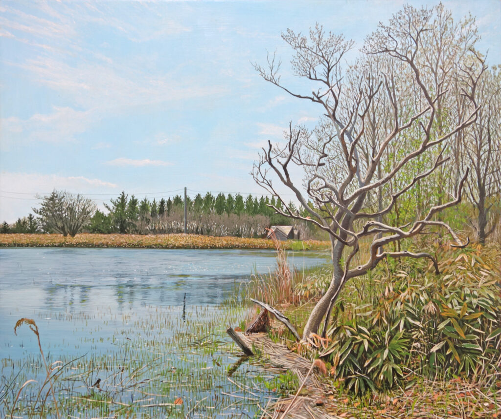 橋本大輔の絵画作品。風景。Daisuke Hashimoto painting, landscape