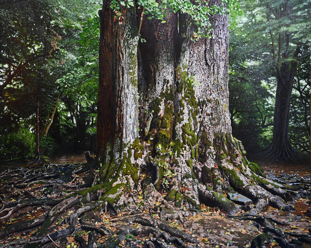 橋本大輔の絵画作品。樹木。Daisuke Hashimoto painting, tree